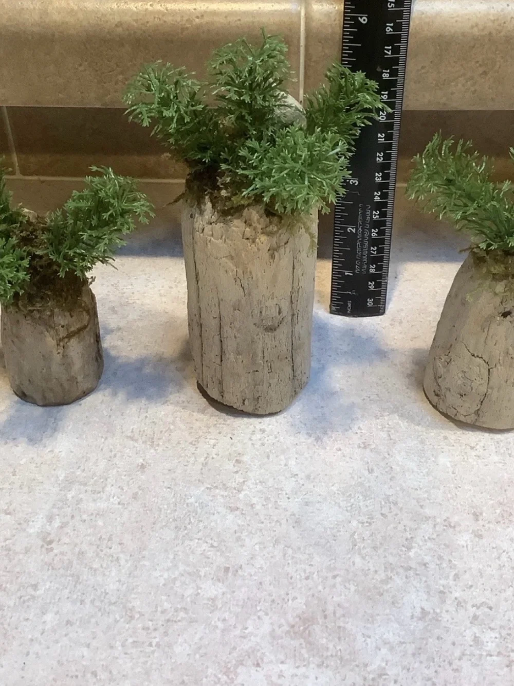 Driftwood Art, Driftwood Faux Plants , Driftwood Faux Greenery Coastal Art